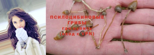 ешки Богородск