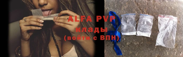 прущие крисы Богданович
