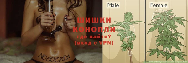 прущие крисы Богородицк